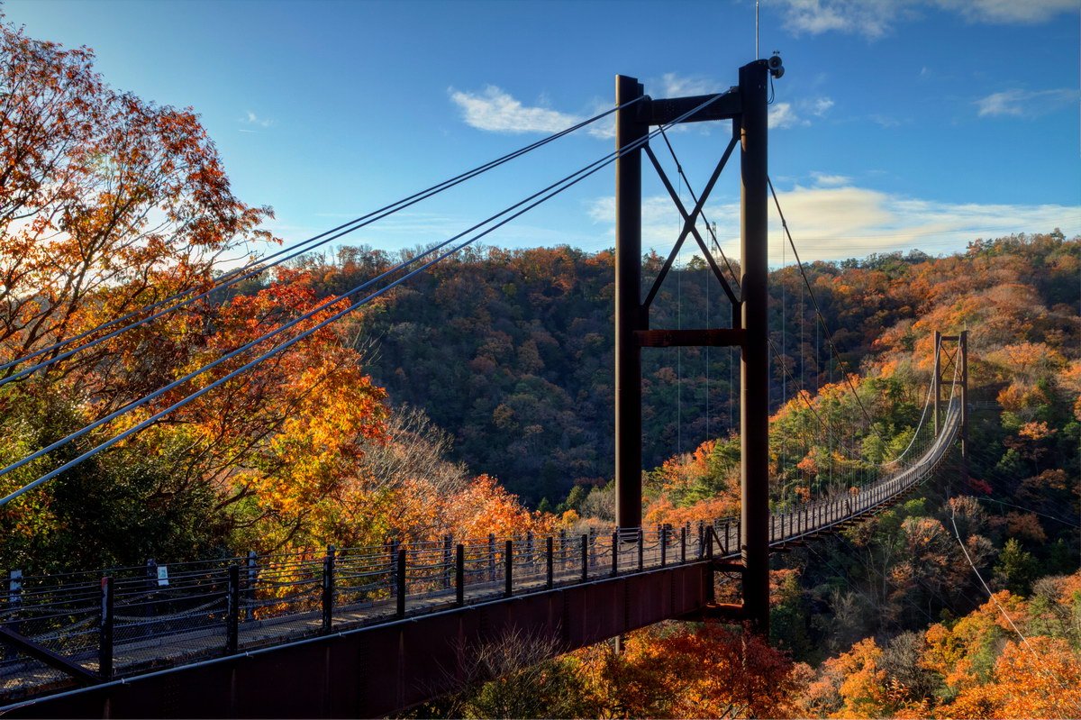 🌳 부민의 숲 호시다 공원(후민노모리 호시다엔치) 이미지 6